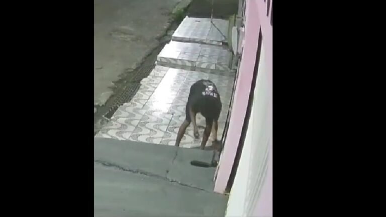 Crime ocorreu durante a madrugada no conjunto Cidade Nova VI. Imagens mostram dois suspeitos retirando o equipamento e fugindo logo em seguida.
