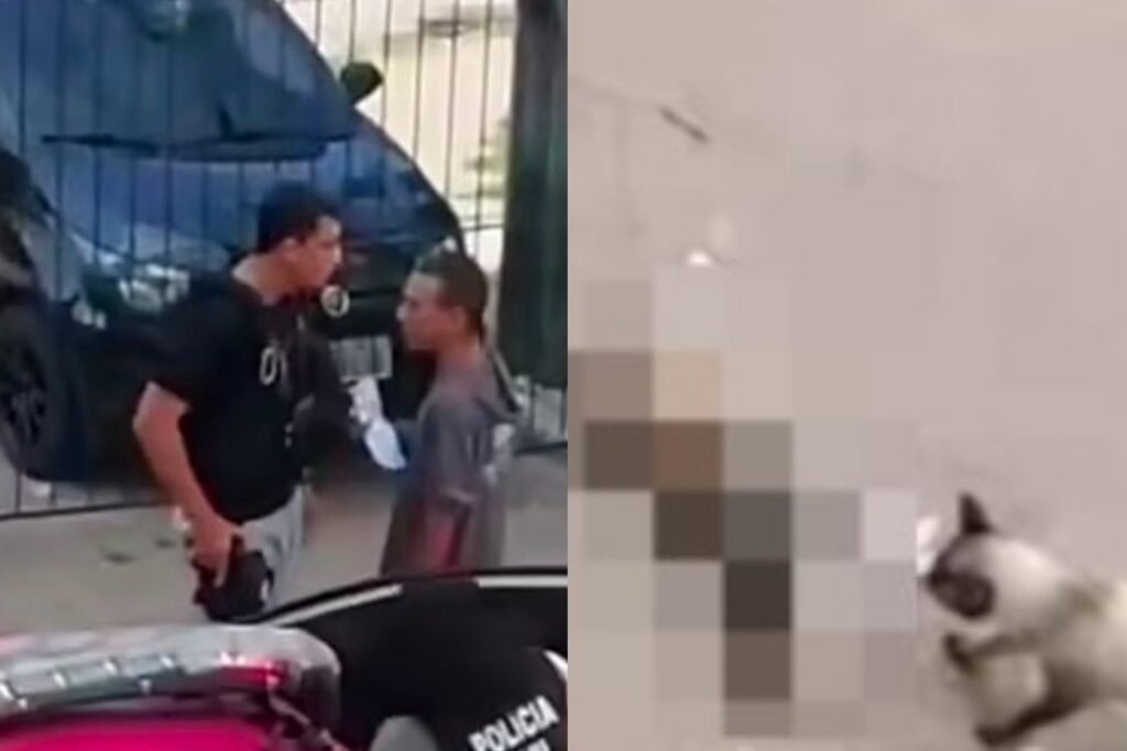 Caso aconteceu no bairro do Guamá e foi registrado em vídeo por moradores; policial alega não ter visto o animal.