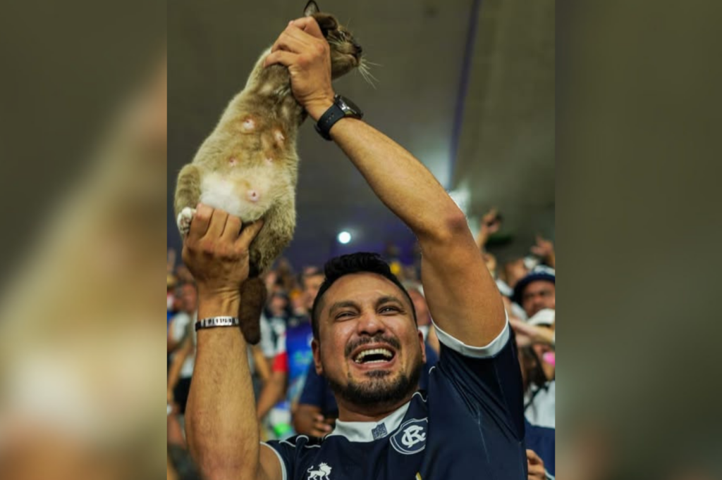 torcedor do Remo pet