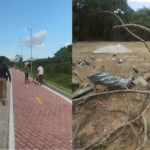 ocupação no parque do utinga