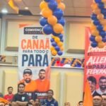 convenção partido novo