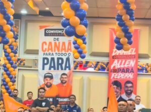 convenção partido novo