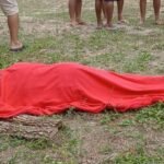 acidente fatal augusto correa, pará