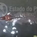 jacare em canal da marambaia