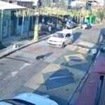 Câmeras de segurança registraram o momento em que o animal foi atingido; cadela ficou com ferimentos graves nas patas traseiras
