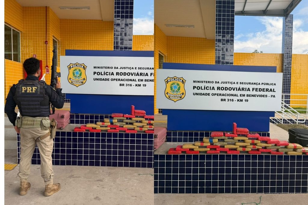 Droga estava escondida em mochila e malas de passageiras de ônibus que seguia de Belém para Salvador; cão farejador auxiliou na localização do entorpecente