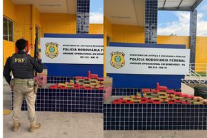 Droga estava escondida em mochila e malas de passageiras de ônibus que seguia de Belém para Salvador; cão farejador auxiliou na localização do entorpecente