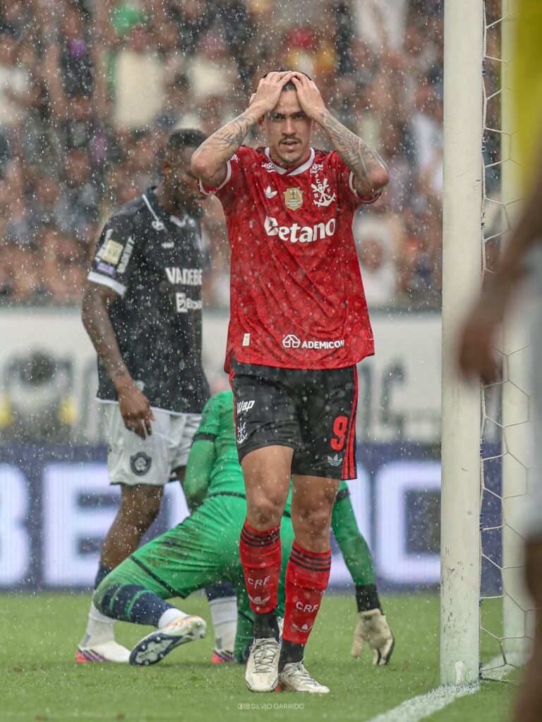 Pedro Flamengo