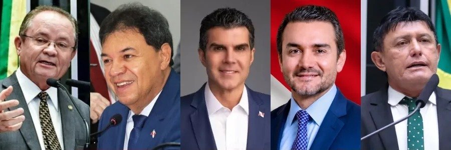 candidatos ao senado federal pelo pará