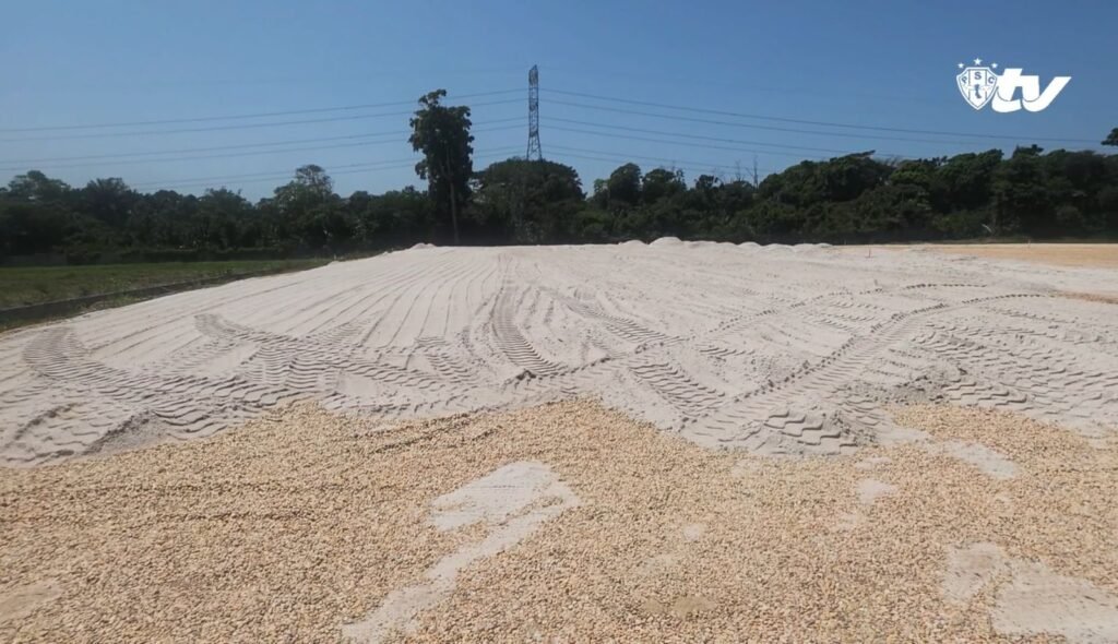 Paysandu acelera obras de novos campos no Centro de Treinamento