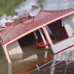 Barco transportava os animais de Soure para Belém quando começou a afundar; dois tripulantes conseguiram escapar