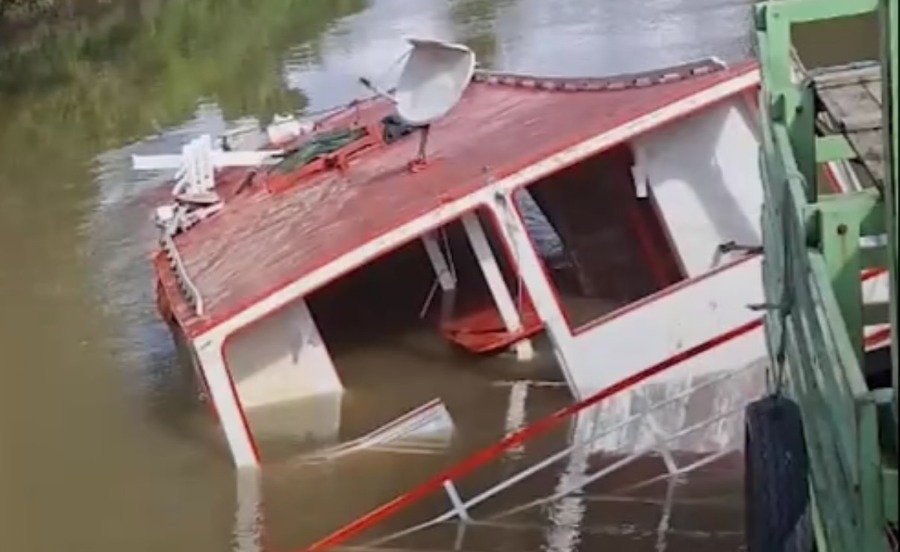 Barco transportava os animais de Soure para Belém quando começou a afundar; dois tripulantes conseguiram escapar